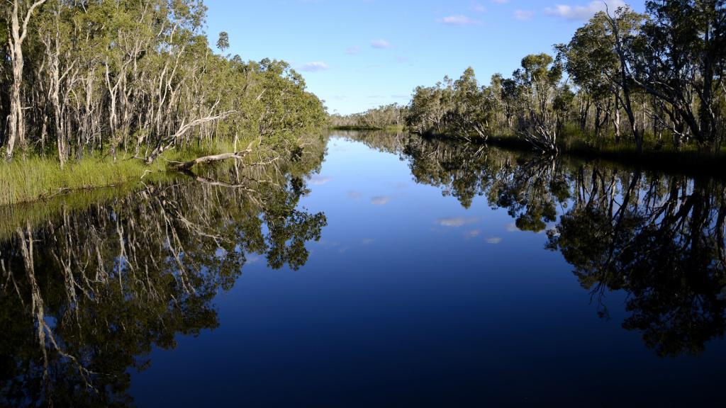 Noosa Everglades Bbq Lunch River Cruise Sunshine Coast Tour